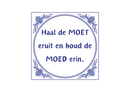 Delfts Blauw tegeltje Moet Eruit 15x15 cm